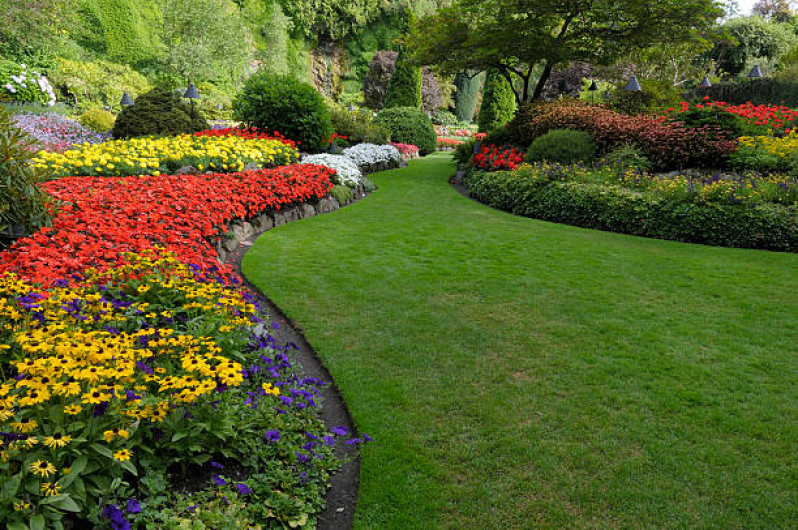 Jardinagem para Jardim Interno Santa Mônica - Jardinagem e Paisagismo no Quintal