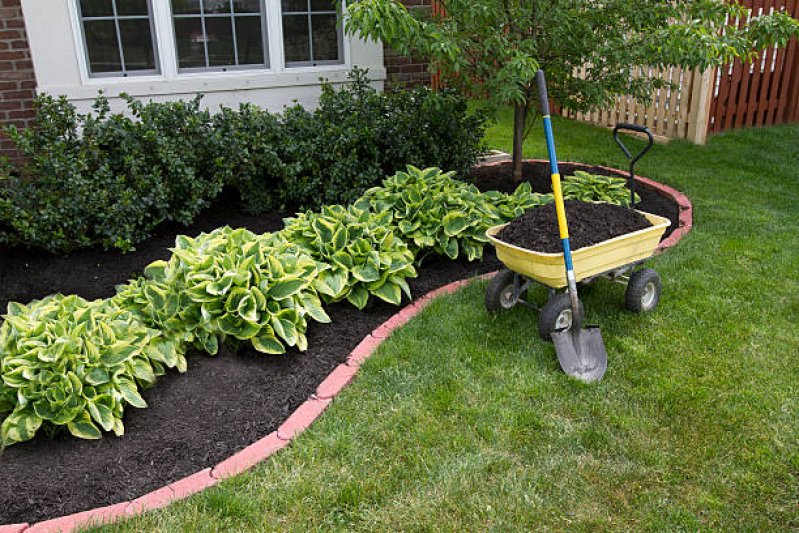 Serviço de Jardinagem e Plantas Céu Azul - Jardinagem para Jardim Interno